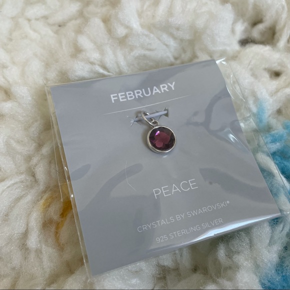 NWT origami owl core 16” chain and February charm - Picture 2 of 4